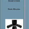 Adam Lyons - Kinetic Attraction